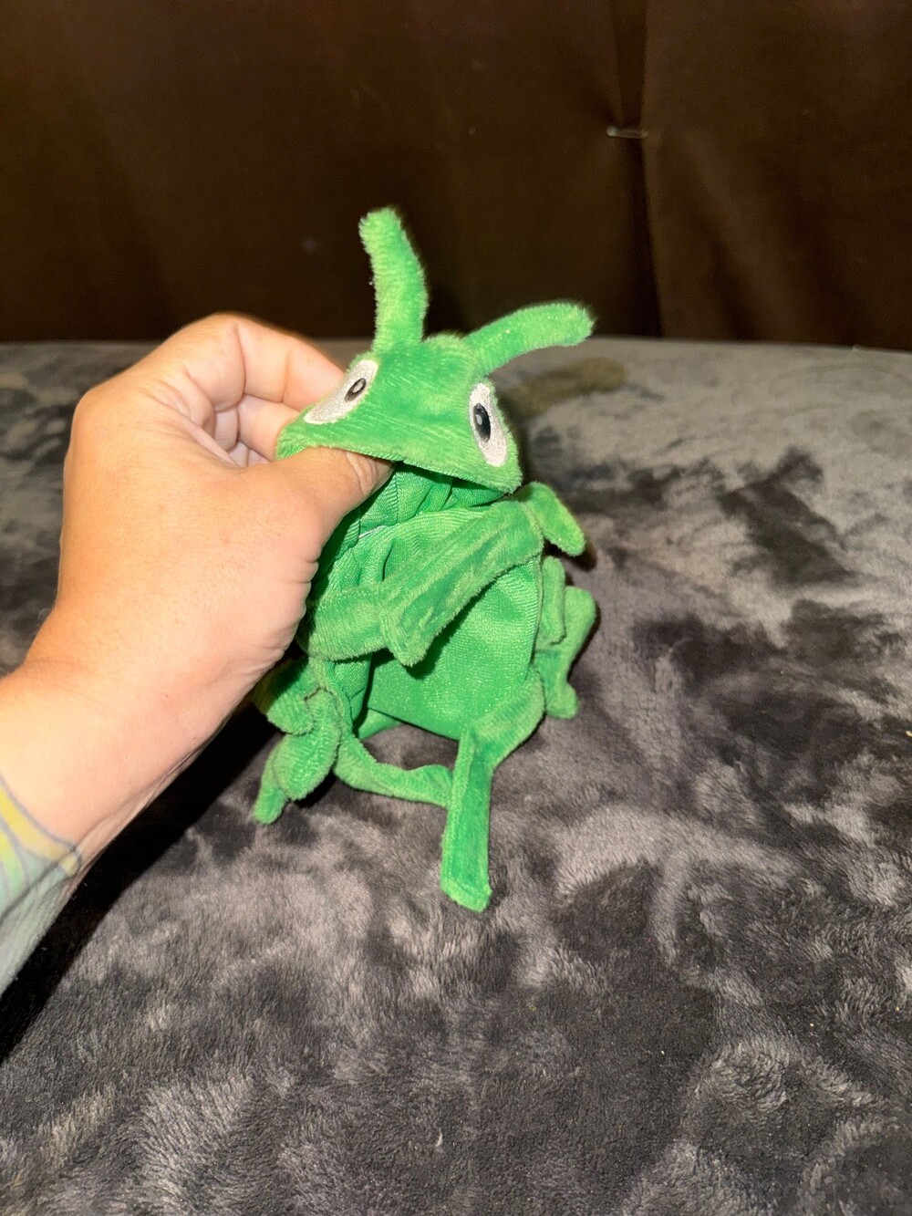 Bearded dragon cricket costume with Wings and Antennae